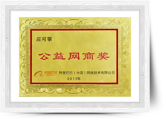 公益网商奖